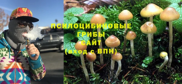 стаф Медвежьегорск