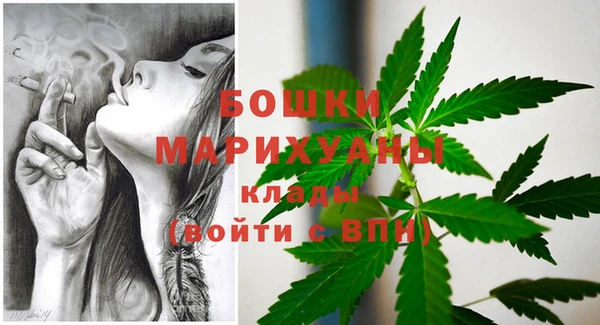 стаф Медногорск